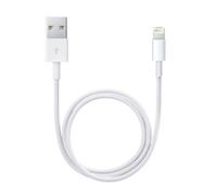 Lightning to USB Cable (0.5 m)