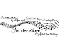 LightningSigns 1D One Direction Little Things Music Song Lyrics Notes Sticker Wall Art LSWA5010 (Small 22cm H x 58cm W) - Black