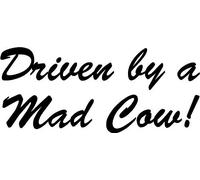 LightningSigns Driven by a Mad Cow Bumper Car Van 4x4 Sticker Decal