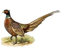 LightningSigns Pheasant Country Gamekeeper Hunting Car Van 4x4 Pick Up Wall Art Stickers Decals (Small left)