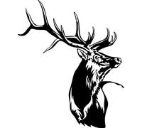 LightningSigns Stags Head Car,Camper Van Window 4x4 Sticker Decals ~1