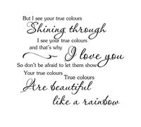 LightningSigns True Colours Cyndi Lauper Music Lyrics Wall Art Vinyl Sticker inspirational quote LSWA7131 (Large, Matt Black)