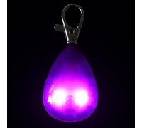 Lights for, high brightness security, charm dog collar - for the afternoon, evening, camping, garden, yard, backyard