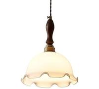 Lights Indoor Modern Grass Industry Single-Head Chandelier Hanging Fixtures for Living Room Bedroom Dining Room and Contemporary Ceiling Lamps