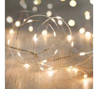 Lights4fun Battery Operated Fairy Lights with 20 Micro Warm White LEDs on Silver Wire by
