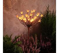 Lights4fun Traditional Warm White Dandelion Solar Powered Starburst Stake