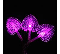LightsGo Battery Powered Powered Hearts shape Indoor LED Fairy Lights 20LEDs 2M (Pink)