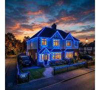LightsGo Blue LED String Lights 30M 300 LEDs - 10M Lead, 8 Modes Memory, 31V Low Voltage UK Plug, IP44 Waterproof. Professional-Grade Length at a Domestic Price. Green Wire
