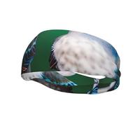 Lightweight Breathable Two Birds Print Hairband Casual Sweatband for Hiking Running Hairbands.