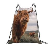 Lightweight Drawstring Bag Brown Highland Cows Scotland, Comfortable Trainer Bags, Unisex Cinch Sack, for Travel Kids 36X42cm