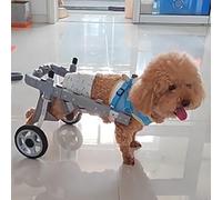 Lightweight & Durable 2-Wheel Pet Wheelchair for Injured Dogs & Cats - Adjustable Support for Small to Medium Animals, Enhance Mobility & Independence