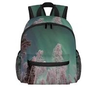 Lightweight Kids Backpack Kindergarten School Bag Child Rucksack Daypack for 3-8 Years Old Frozen Trees and Polar Lights
