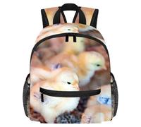 Lightweight Kids Backpack Kindergarten School Bag Child Rucksack Daypack for 3-8 Years Old Little Chicks at Farm
