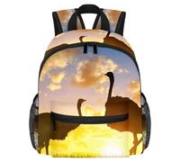 Lightweight Kids Backpack Kindergarten School Bag Child Rucksack Daypack for 3-8 Years Old Ostrich African Sunset