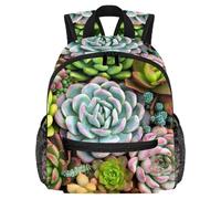 Lightweight Kids Backpack Kindergarten School Bag Child Rucksack Daypack for 3-8 Years Old Succulents Cactus Succulents