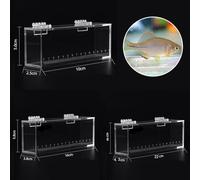 Lightweight Transparent Tank For Easy Transport And Effective Observation Of Freshwater Species Like For Bitterlings And Gobies (small)