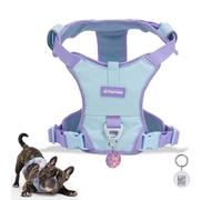 Lightweight Waterproof Vest with Reflective Strips & Pocket for AirTag, Breathable & Comfy，Adjustable for Walking and Training, Easy-On Dog Harness with Smart QR Code Tag for Boy and Girl Dogs,L,Blue
