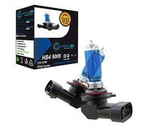 LIGHTWORLD24 HB4 9006 12V 51W Xenon Look Effect Halogen Car Lamps Bulbs Light Look Super White 6000K Low Beam Fog Light Fog Light Cool White White Light White Set of 2 P22D
