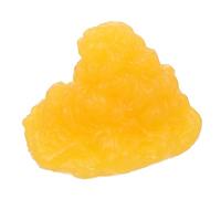 LIGIGWASH 1lb Human Fat Model Educational Fitness Anatomy Model TPE Demonstration for Nutritionists Learning Tissue Display for Class