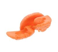 LIGIGWASH 1pcs Brain Model Detachable Components Educational Tool for Human Anatomy Study and Classroom Display Precision Crafted for Research and Learning