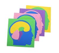 LIGIGWASH 4pcs Montessori Brain Anatomy Puzzle for Preschoolers Human Brain Model Educational DIY Anatomy Learning for Family Interaction and Problem-solving Activity