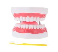 LIGIGWASH Educational Teeth Model with Toothbrush Enlarged Teaching Aid for Promotes Hand-eye Coordination and Oral Hygiene Learning for Boys