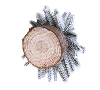 LIGIGWASH Mini Christmas Tree Artificial Tilted Sisal Pine with Realistic Snow Flocked Coating Small Plastic Model Pine Tree for Winter Landscape Decor Home Tabletop Holiday Party Decoration