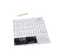 LIGIGWASH Removable Transparent Piano Keyboard Stickers for Keys Font Decals for Beginners Self-adhesive Note Labels for Easy Learning and Quick Mastery