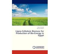 Ligno-Cellulosic Biomass for Production of Bio-Energy in Egypt
