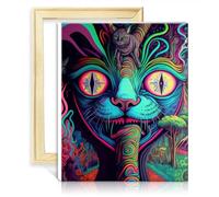 LiHEQING Canvas Drawing Paintwork Kit Psychedelic Kids Adults Paint by Number Kits Arts Crafts Project for Home with Frame(30x40cm)