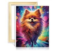 LiHEQING Oil Painting by Numbers Kits Pomeranian Dog Paint by Numbers Adults Children, Beginners Home Decor Painting Gift No Frame(30x40cm)