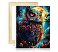 LiHEQING Paint by Number Painting Planet owl Paint by Number Adult Paint by Number Kits Number Painting Wall Art with Frame(30x40cm)