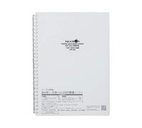 Lihit Lab Twist Ring Notebook, 9.9 x 7.3 Inches, Clear (N1608-1)