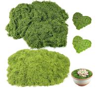 LIIGOU Artificial Moss 100g Green Fake Moss Plant Decorative Realistic Faux moss Arts and Crafts for Centerpieces Landscaping, Floristry Home Kitchen Garden Terrariums Decor
