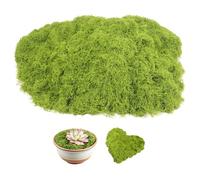 LIIGOU Artificial Moss 100g Green Fake Moss Plant Decorative Realistic Faux moss Arts and Crafts for Centerpieces Landscaping, Floristry Home Kitchen Garden Terrariums Decor