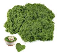 LIIGOU Artificial Moss 100g Green Fake Moss Plant Decorative Realistic Faux moss Arts and Crafts for Centerpieces Landscaping, Floristry Home Kitchen Garden Terrariums Decor
