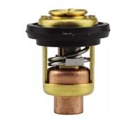 LiiZZi 9.9 To 300 HP Thermostat 50C Fit For 1984-06 6E5-12411-30-00 18-3540 MD