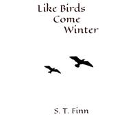 Like Birds Come Winter: A Contemporary Coming-of-Age Story