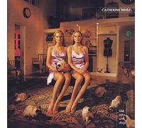 Like Cats & Dogs by Catherine Wheel