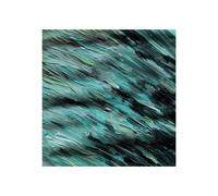 Like Elephants Better Days (Vinyl)