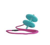 Likit Horse Treat Starter Kit Aqua (One Size)