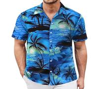 LIKPOJA Mens Hawaiian Shirts Funny Short Sleeve Ugly Floral Summer Aloha Shirt Holiday Beach Tops for Men(C,L)