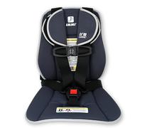 Lil' Caddie Child Positioner for Golf Carts, 5-Point Positioner Designed to Secure Children in Golf Carts Under 15mph, Charcoal