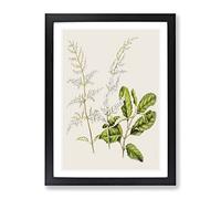 Lilac Flowers By Sarah Featon Vintage Framed Print | A2 Black Framed Wall Art | Ready to Hang | Classic Floral Picture | Living Room Bedroom Lounge Office