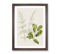 Lilac Flowers By Sarah Featon Vintage Framed Wall Art Print, Ready to Hang Picture for Living Room Bedroom Home Office Décor, Walnut A4 (34 x 25 cm)