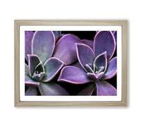 Lilac & Green Succulent Plant Modern Art Framed Wall Art Print, Ready to Hang Picture for Living Room Bedroom Home Office Décor, Oak A3 (46 x 34 cm)
