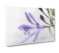 Lilac Lilly Flower In Bloom Canvas Print | Gallery Wrapped 30mm Frame Wall Art | 20x14 inches | Ready to Hang | Modern Floral Picture | Living Room Bedroom Lounge Office