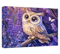 Lilac Paint by Numbers for Adults Children, Owl Painting by Numbers Kit for Kids Adults Canvas Kits Beginner DIY Acrylic Pigment Drawing Paintwork for Home Wall Decor, Gifts for Women 50x70cm,Model615