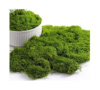 LilaLemon 30g Light Green Fake Faux Moss, Artificial Decorative Moss for Easter Decoration, Fake Green Lichen Plants for Lawn Aquarium Landscaping