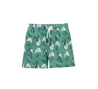 Lilax Boys Swim Trunks Toddler Bathing Suit Kids Swimsuit Boys Swim Shorts (Shark/Green, 10 Years)
